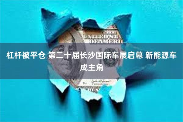 杠杆被平仓 第二十届长沙国际车展启幕 新能源车成主角