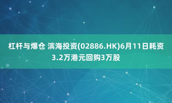 杠杆与爆仓 滨海投资(02886.HK)6月11日耗资3.2万港元回购3万股