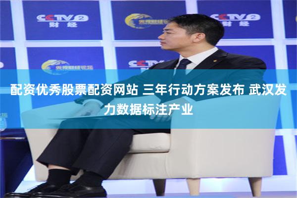 配资优秀股票配资网站 三年行动方案发布 武汉发力数据标注产业