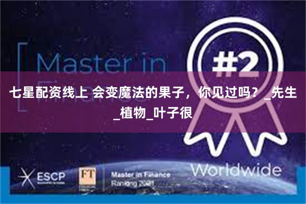 七星配资线上 会变魔法的果子，你见过吗？_先生_植物_叶子很